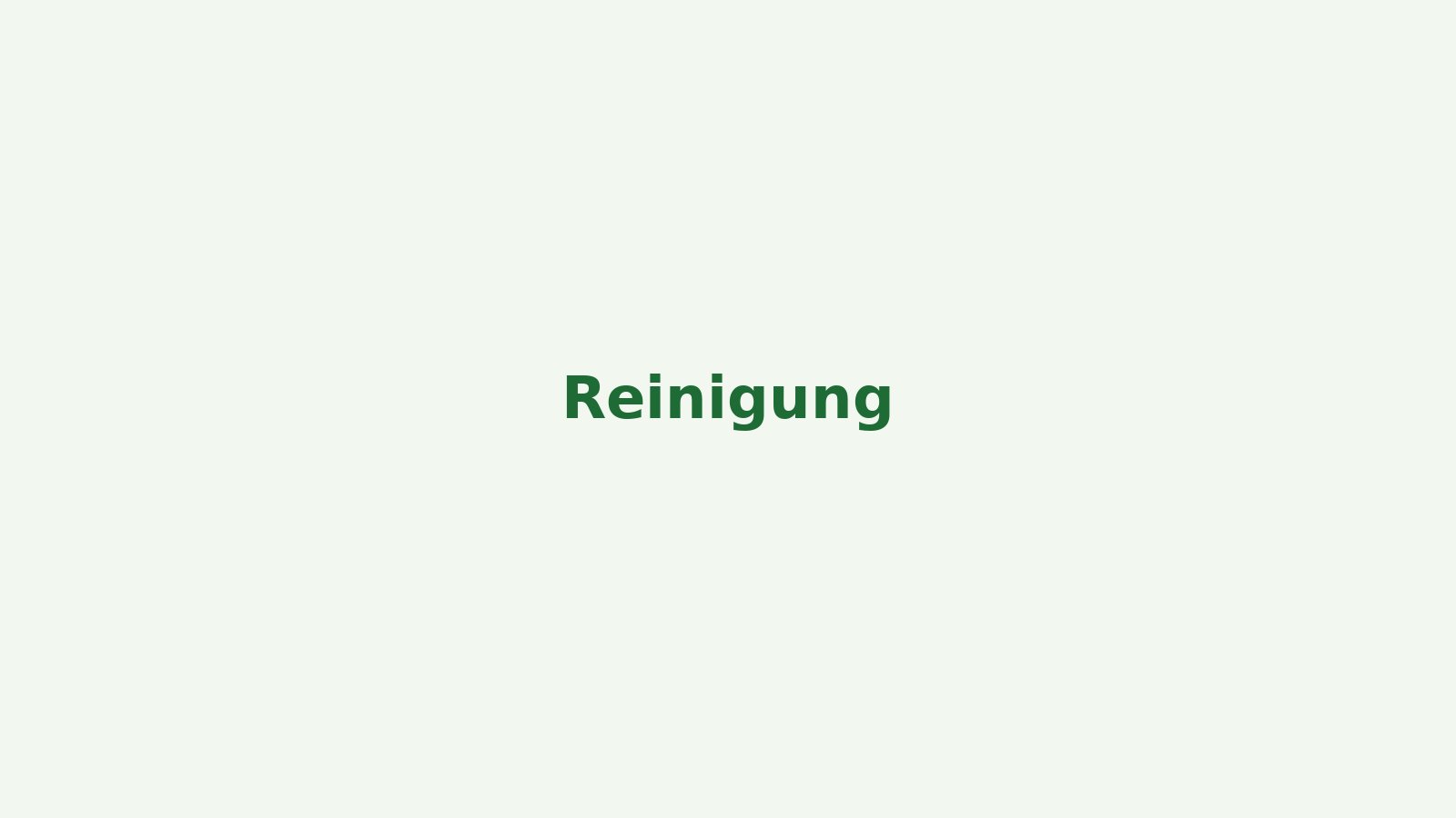 Reinigung
